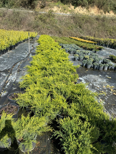 WhatsApp Image 2024 04 01 at 12.12.11 f15d3c63.jpg