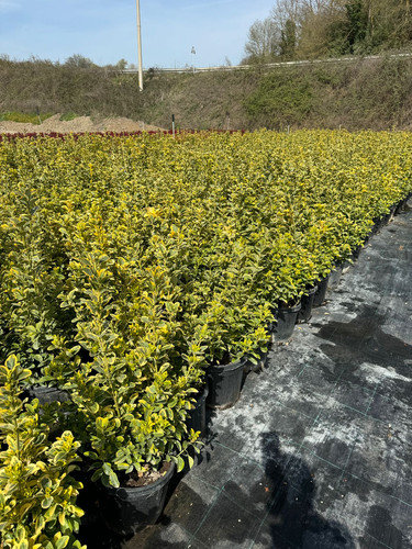 WhatsApp Image 2024 04 01 at 12.12.11 76f8d28a.jpg