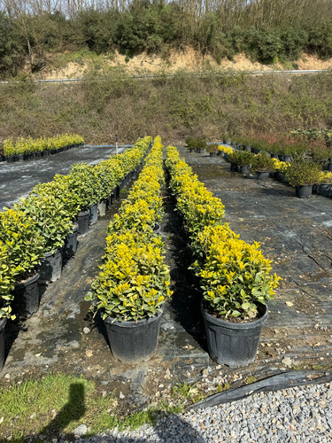 WhatsApp Image 2024 04 01 at 12.12.11 a7230dfb.jpg