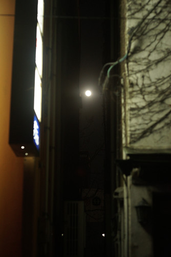 A7SDSC01728.jpg