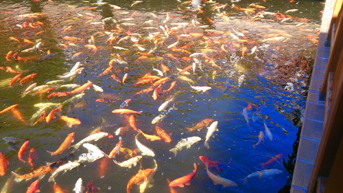 af4feb45 f9ea 4334 95fe 3d9674f17c9e 1 all 6401.jpg