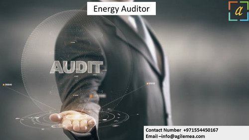 energy auditor 2.4.2024.jpg