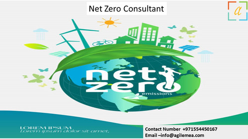 NZ consultant 2.4.24.jpg