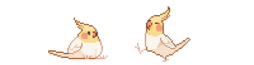 cockatiels removebg preview (1).png