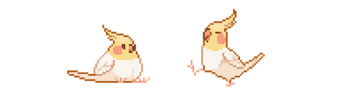 cockatiels (2).png