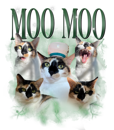 moo moo1.png