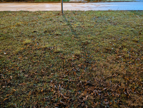 1000000042.jpg