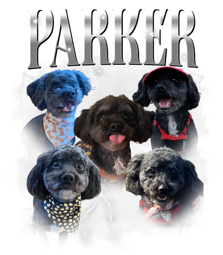 pảker.png