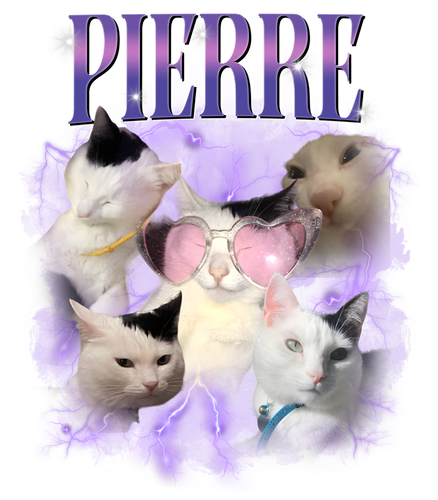 1 (1).png