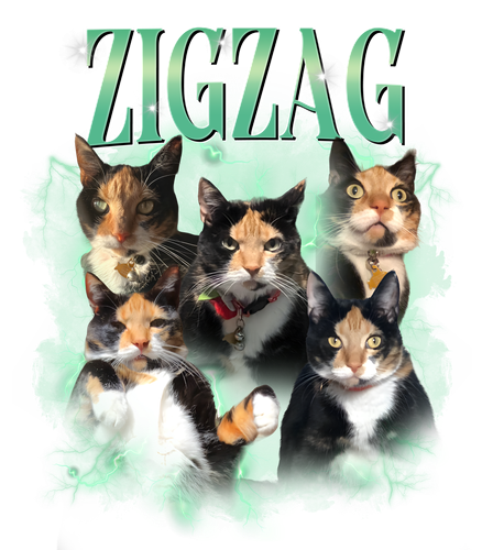 zigzang.png