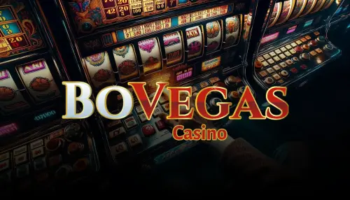 Bovegas Casino.webp