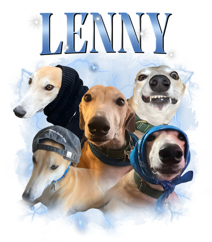lenny.png