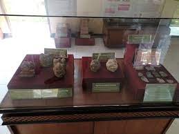 Museum Situs Batujaya(1).jpg