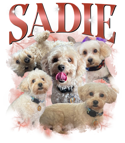 Sadie.png