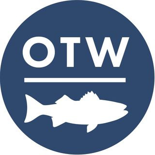 255492856 10158663363668067 697394170128419177 n.jpg