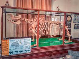 Museum Negeri Banten(3).jpg