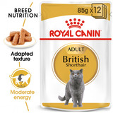 British Shorthair (WET FOOD Pouches)