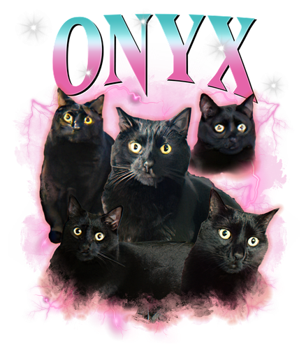 3108910328 Onyx 10.png