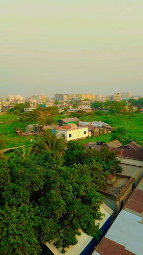 IMG 169779826456F.jpg