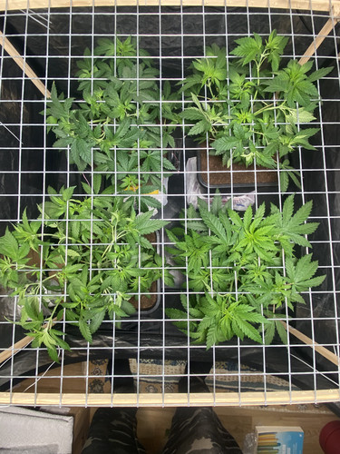 F9A01442 754E 443D A0AF 97A0BB33C508.jpg