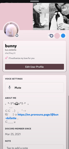 Untitled design 20231119 224421 0000.png