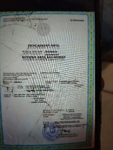 scaled 43b401cc e9f2 4416 af54 e998575bcc634306832096891182221.jpg