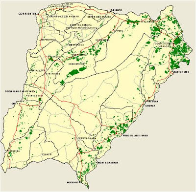 30 Plantaciones forestales.jpg