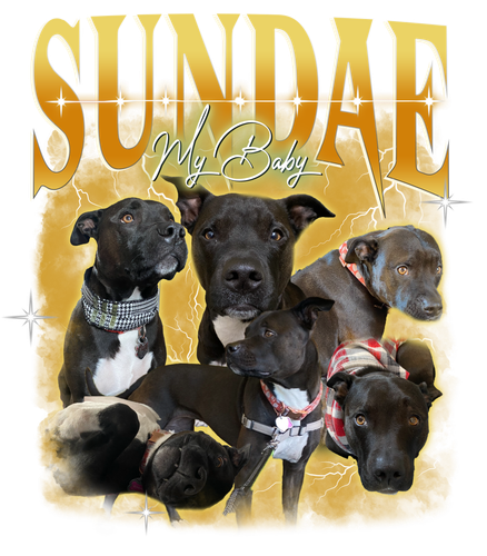 SUNDAE My Baby.png