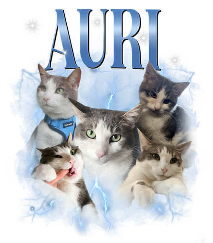 auri.png