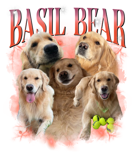 Basil Bear