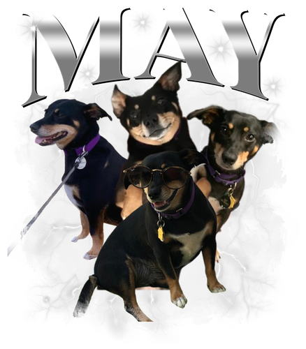 May.png