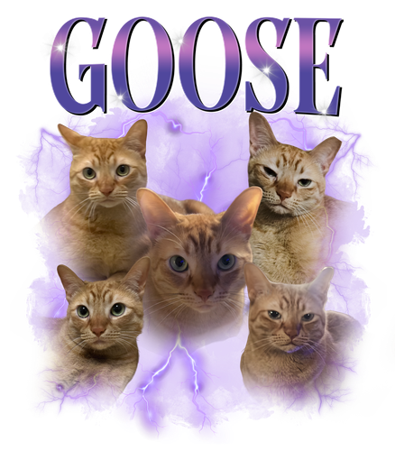 goose.png