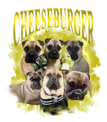 cheeseburger.png