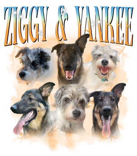 ziggy & yankee.png
