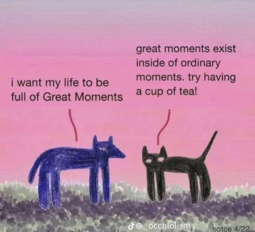 Untitled.jpg
