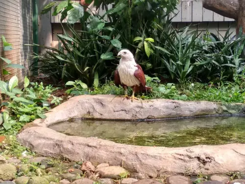 4 8gcufEr.width 800.format webp.webp