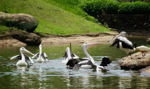 5 FtWp7cR.width 800.format webp.webp