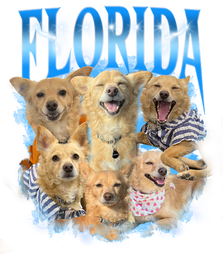 FLORIDA.png