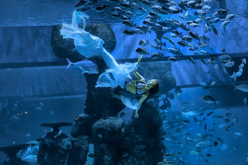 shutterstock 1473602465.jpg