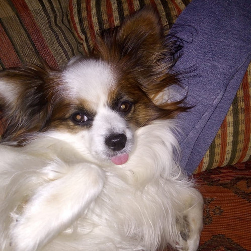 273711121 344140594394516 6711367039367205132 n.jpg? nc cat=111&ccb=1 7& nc sid=5f2048& nc ohc=7E4Jh.jpg