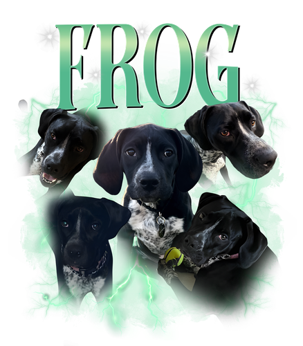 frog.png