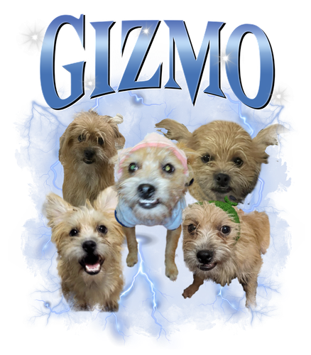 gizmo sửa.png