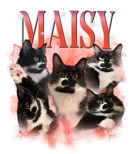 maisy.png