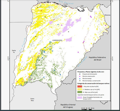 26 Bosques nativos.jpg