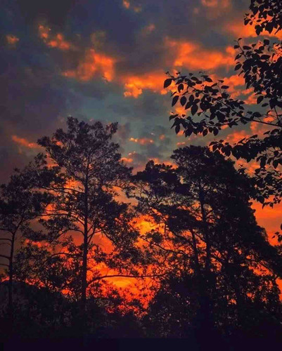 C6AAE9CD 182F 481F BFCC 0E2007E2610E.jpg