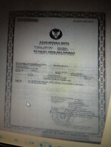 scaled 7cebe83a 02ed 4449 b541 8753105023993878201076976682629.jpg