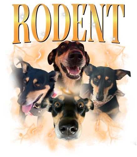 rodent.png