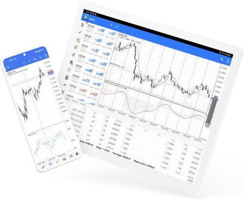 Meta Trader 5 MT4 Grey label.jpg
