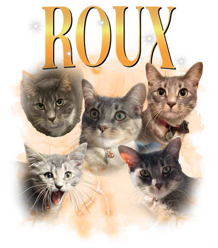 rouz.png