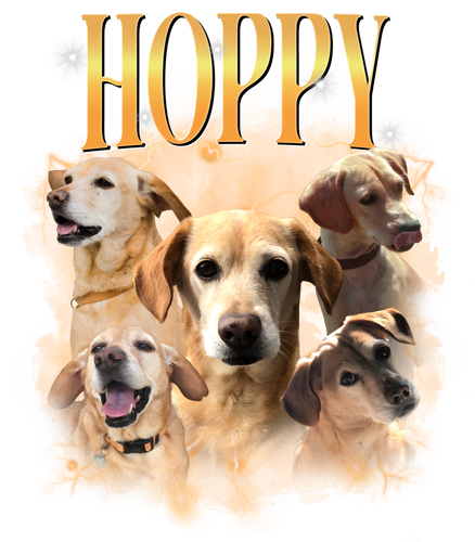 hoppy.png